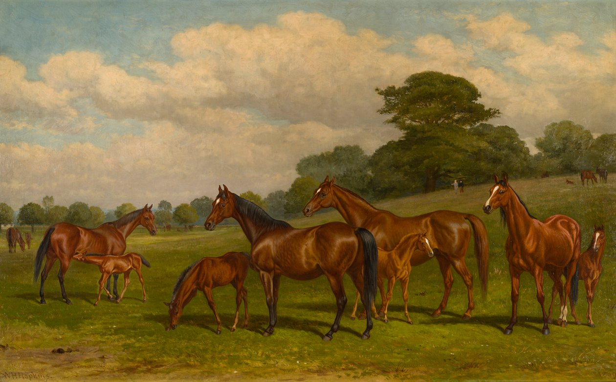 Éguas e Potros, c.1892 (óleo sobre tela) de W.H. Hopkins