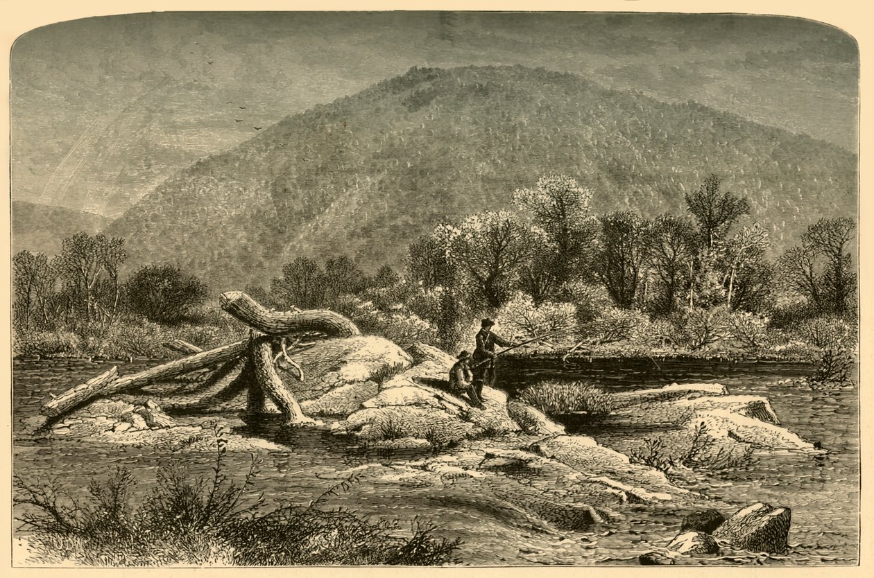"Mount Chesterfield", 1874.   de W.H. Morse