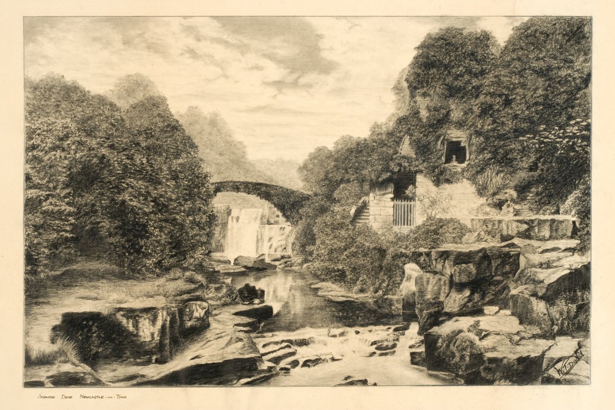 Jesmond Dene (giz e lápis sobre papel) de W.T. Dodd