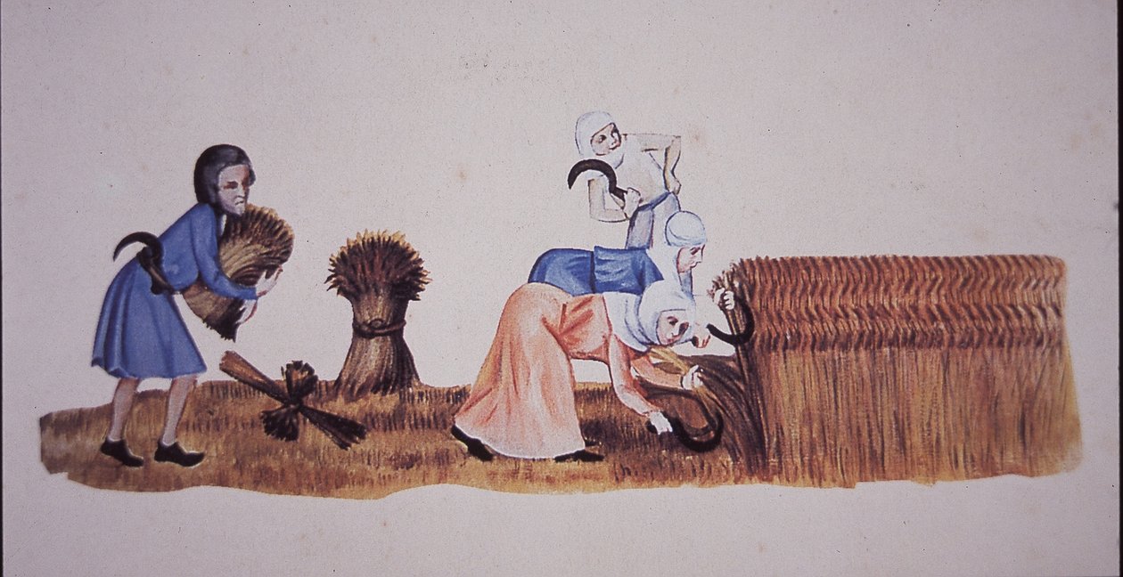 Mulheres medievais colhendo milho, depois de uma cena do Luttrell Psalter (cor litho) de John Ward Dunsmore