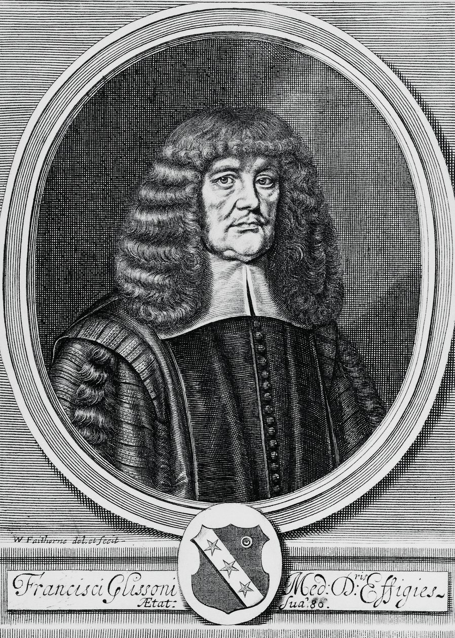 Retrato de Francis Glisson (1597-1677), físico, anatomista e médico britânico, gravura de John Ward Dunsmore