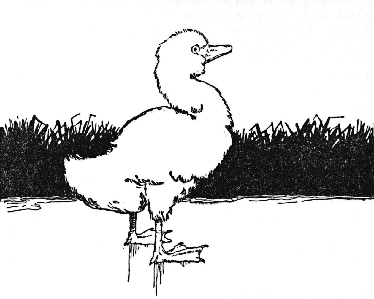 Ele chegou a um largo mouro, c1930 de William Heath Robinson