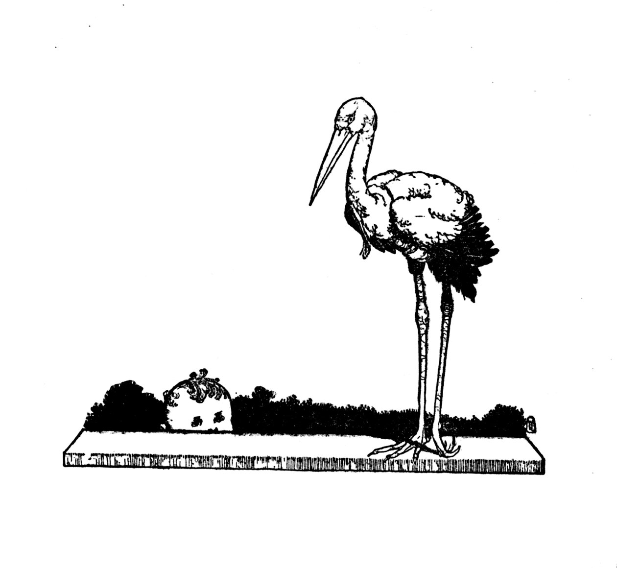 Cegonha! Cegonha! Cegonha de pernas longas !, c1930 de William Heath Robinson