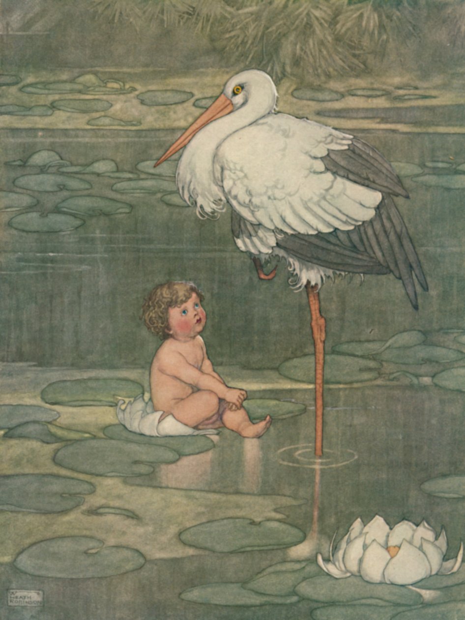 O broto aberto em uma flor completa, c1930 de William Heath Robinson