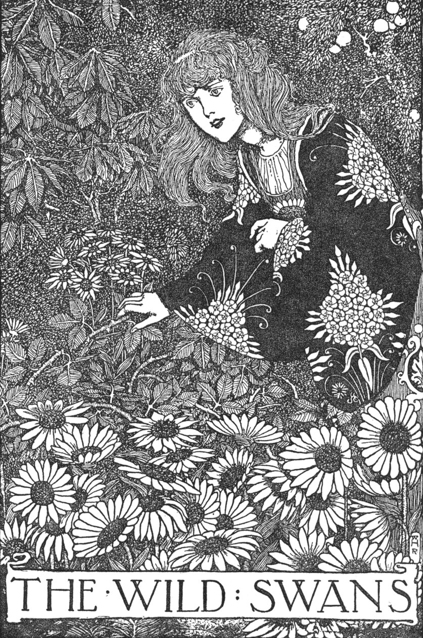 Os cisnes selvagens, c1930 de William Heath Robinson