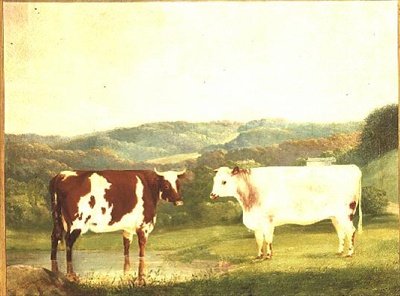 Gado contra uma Paisagem de W. J. Chapman