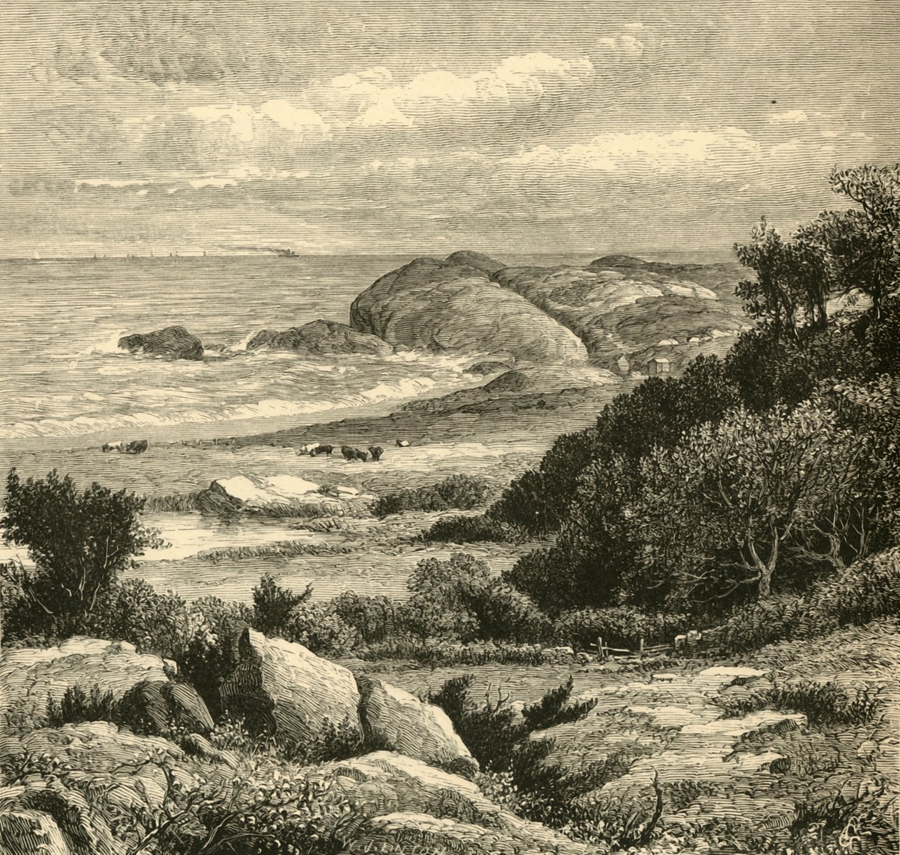 "Vista Distante do Purgatório", 1872. de W. J. Linton