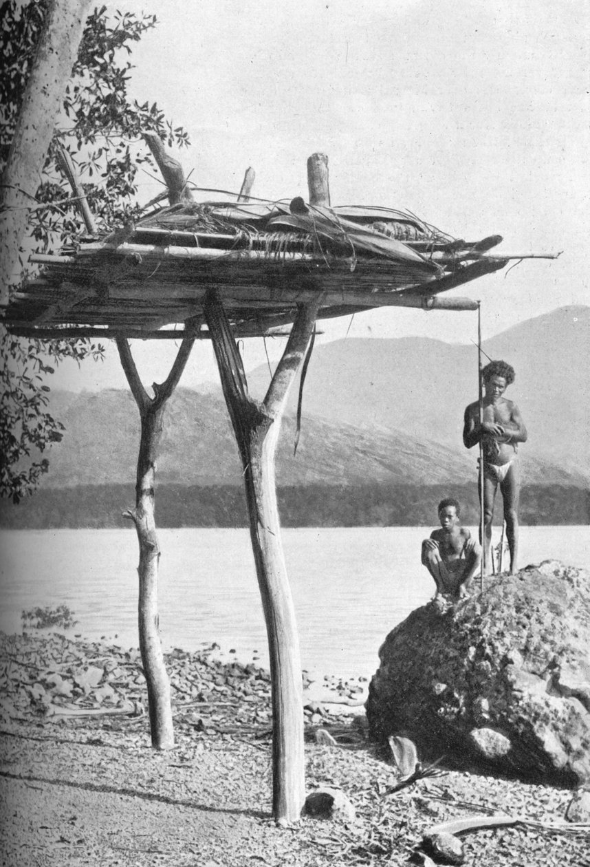 Plataforma mortuária na Nova Guiné, 1902 de W. Lindt
