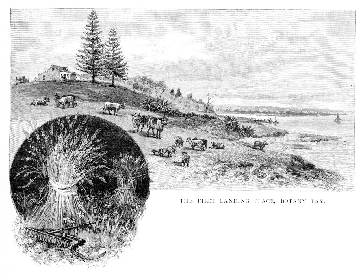 O primeiro local de desembarque, Botany Bay, Nova Gales do Sul, Austrália, 1886. de W. Macleod