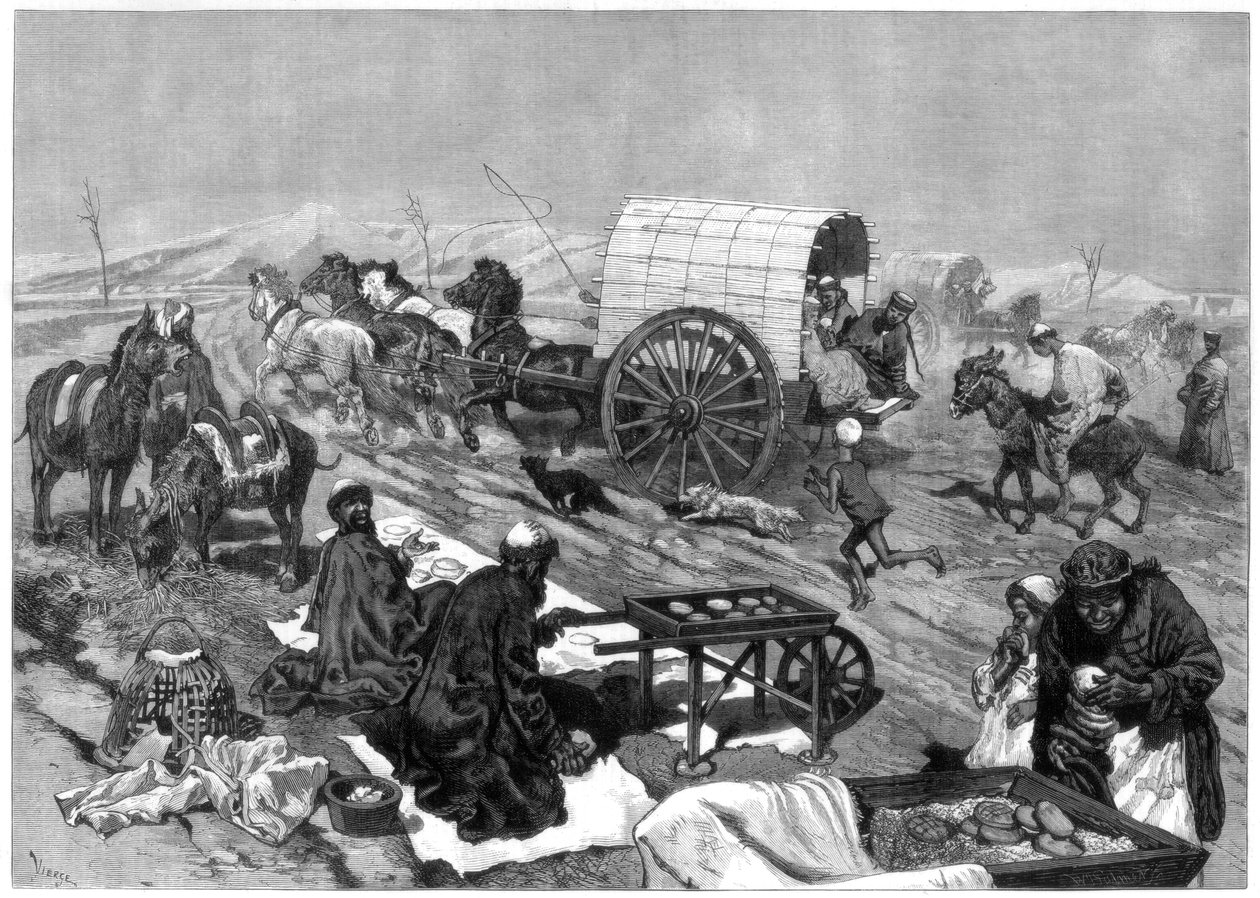 O ônibus feminino, Kashgar, Ásia Central, 1875. de W. Palmer