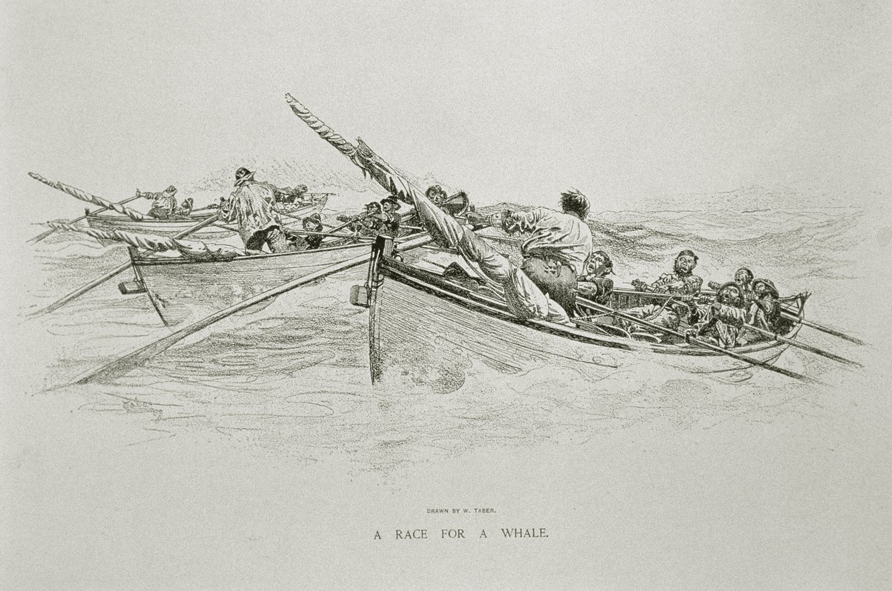 A Race for a Whale