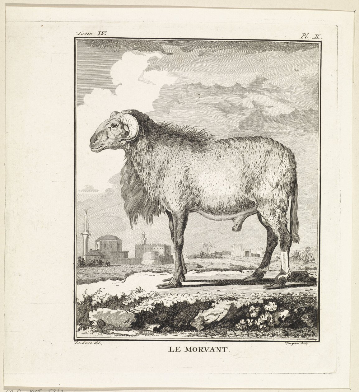 RAM Le Morvant (título no objeto) de W. Tringham