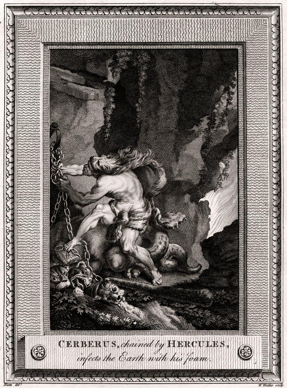 Cerberus, acorrentado por Hércules, infecta a Terra com sua espuma, 1774 de W. Walker