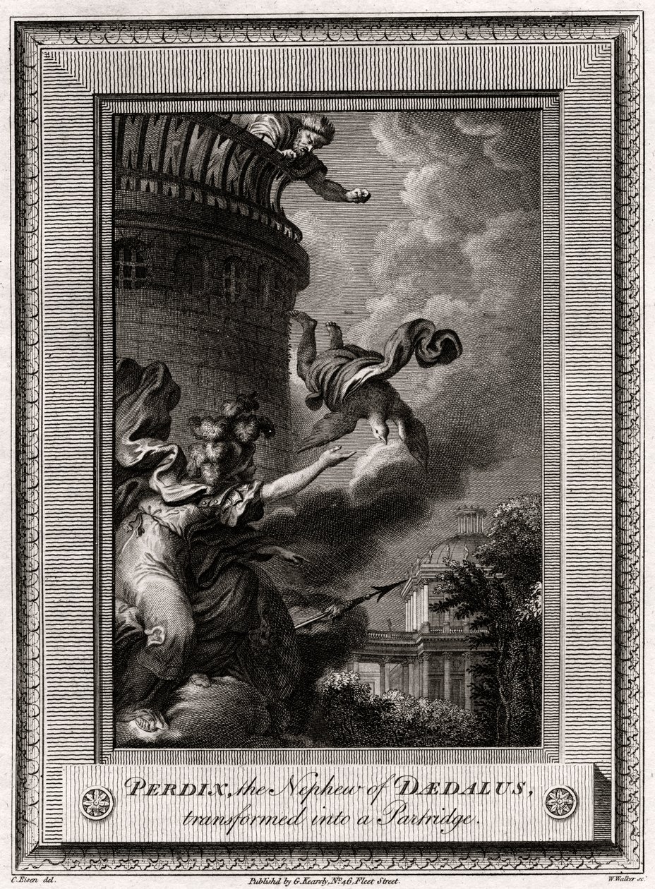 Perdix, sobrinho de Dédalo, transformado em perdiz, 1774 de W. Walker