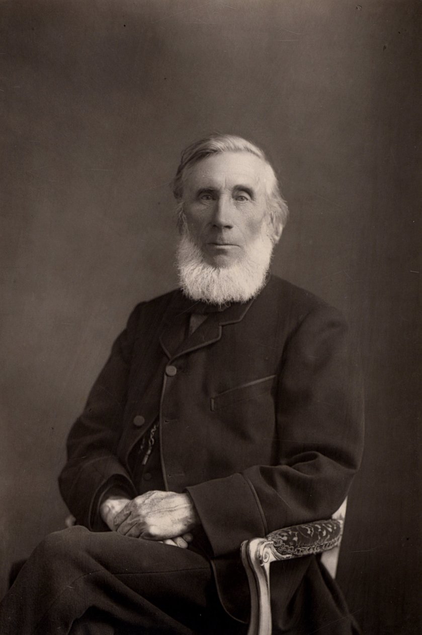 "John Tyndall (1820-1893) Físico britânico nascido na Irlanda. (woodburytype) de W. and D. (after) Downey