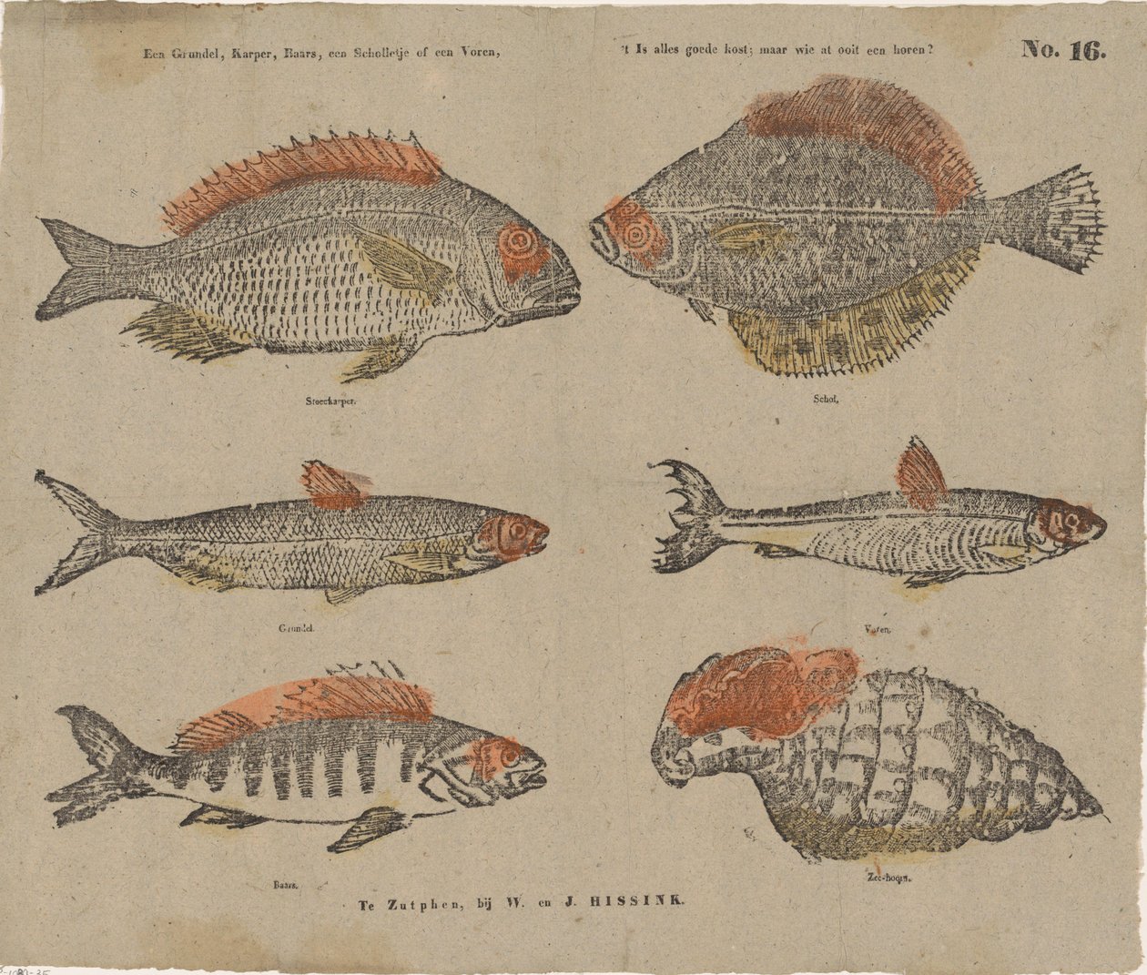 Uma grundel, carpa, perca, uma solha ou uma ova, / 