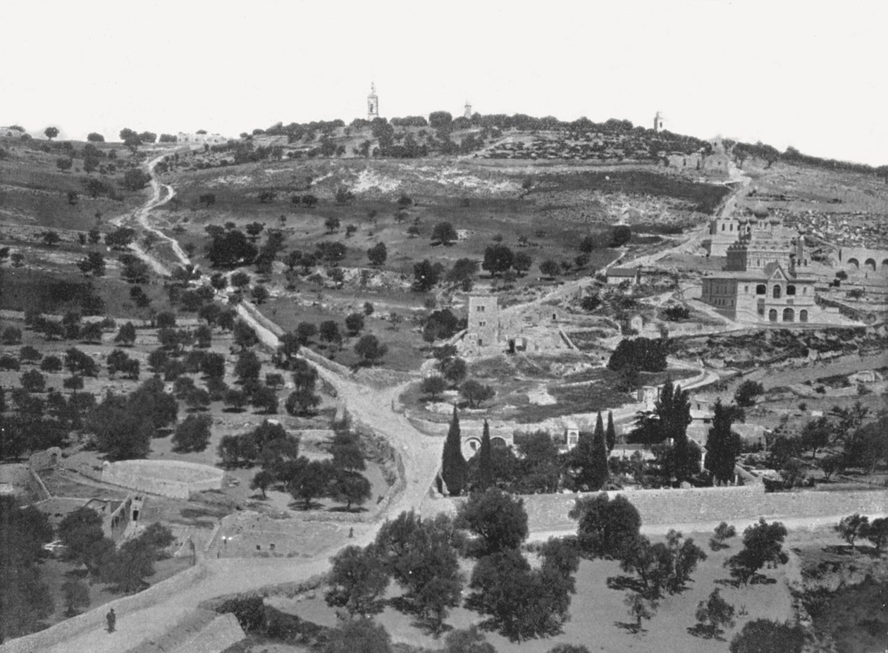 Monte das Oliveiras, Jerusalém, Palestina, 1895. de W and S Ltd
