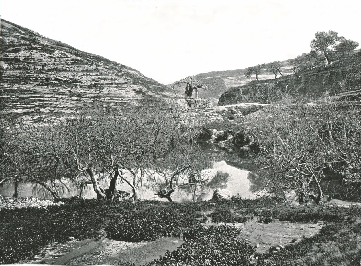 The Pool of Siloam, Jerusalém, Palestina, 1895. de W and S Ltd