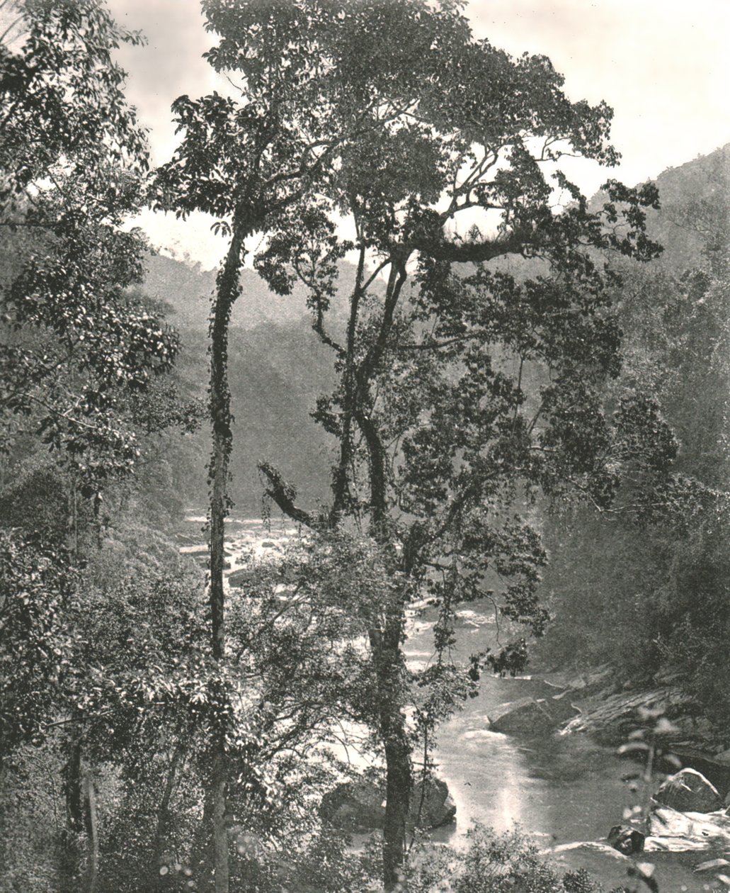 Vista do rio Kelani, Kurunegala, Ceilão, 1895. de W and S Ltd
