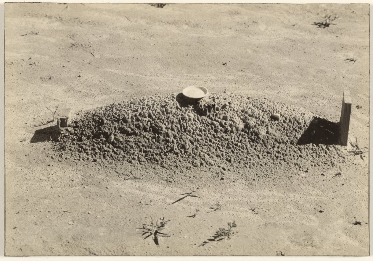 Sepultura de um Batista, Condado de Hale, Alabama de Walker Evans