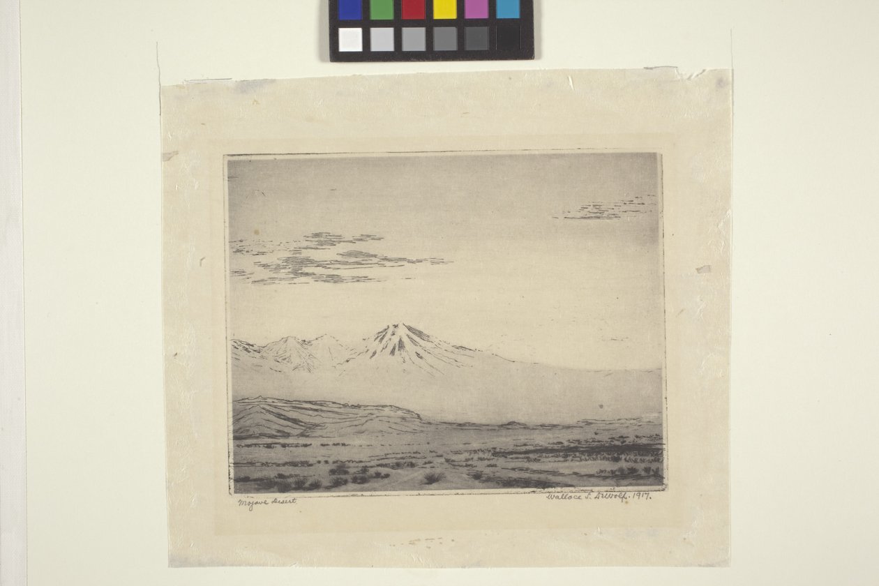 Deserto de Mojave de Wallace Leroy DeWolf