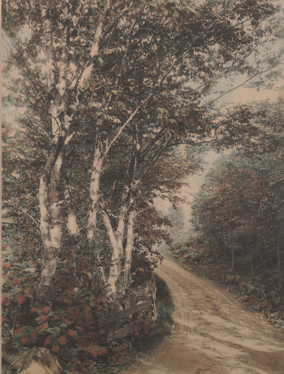 Westmore Drive de Wallace Nutting