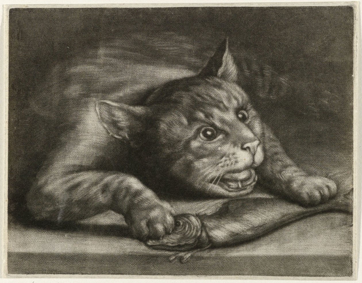 Gato com um peixe de Wallerant Vaillant