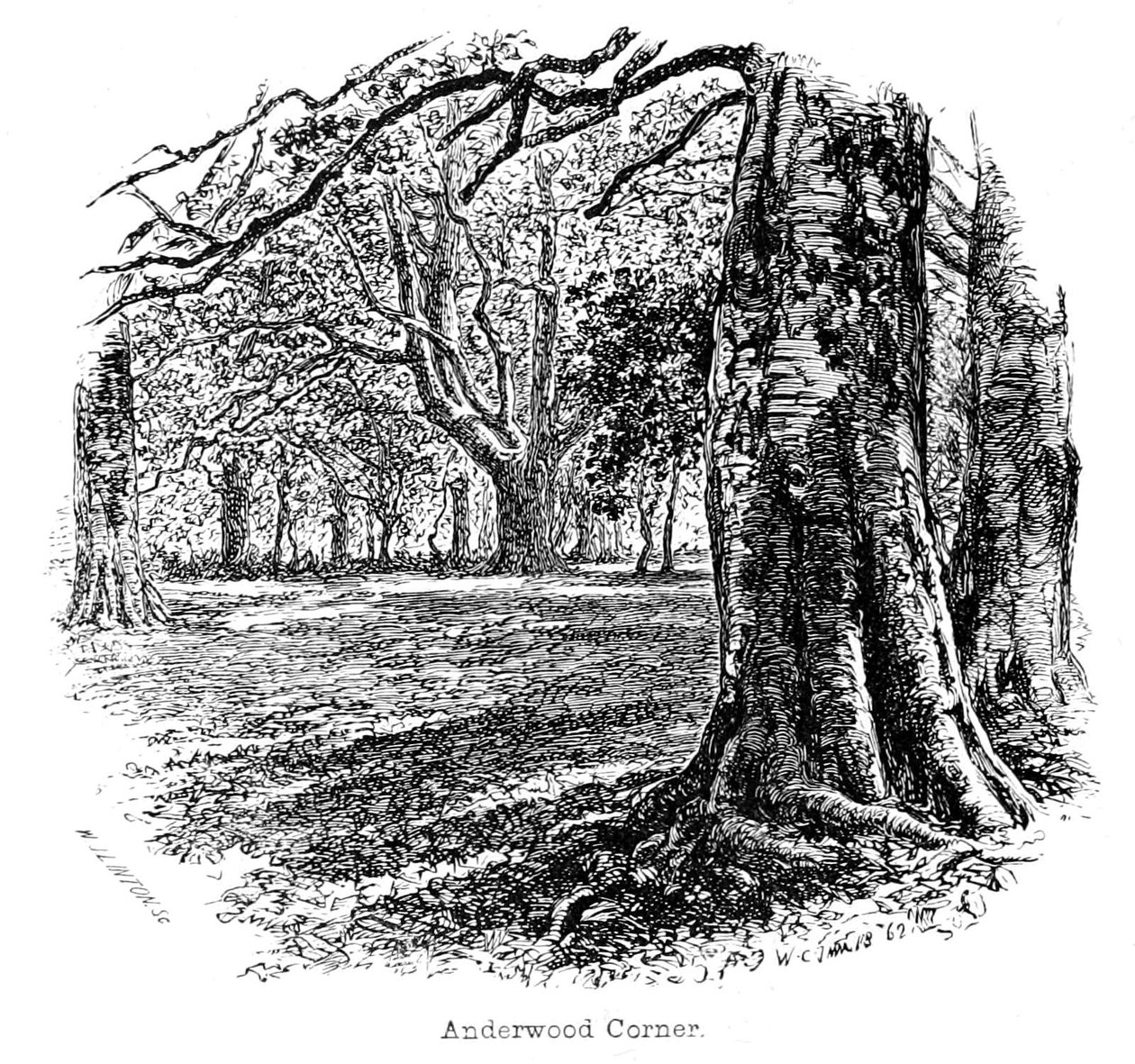 Anderwood Corner de Walter Crane