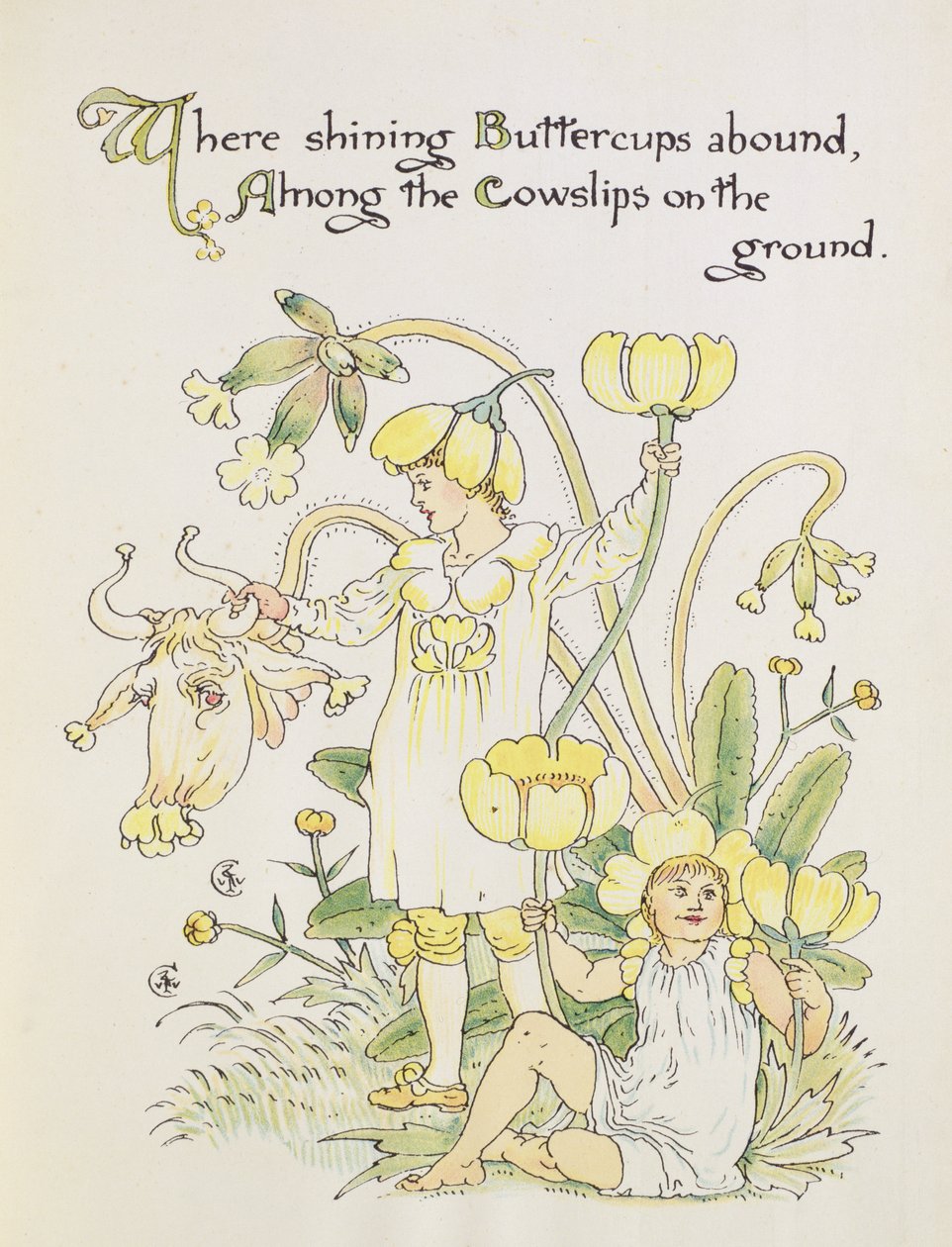 O Buttercup e o Cowslip do &39;Banquete da Flora&39; de Walter Crane