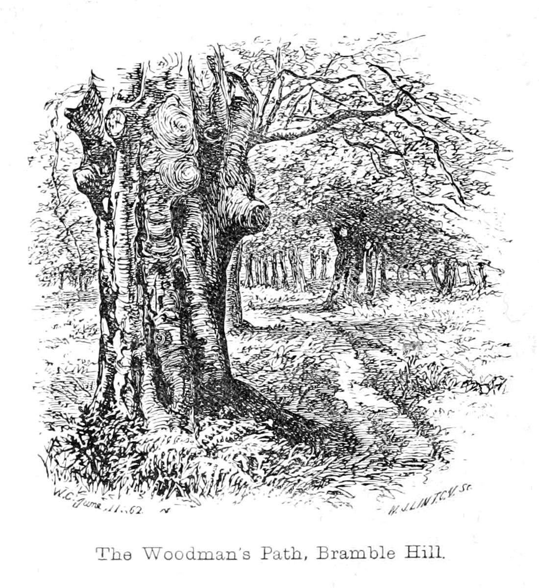 O Caminho dos Woodmans, Bramble Hill de Walter Crane