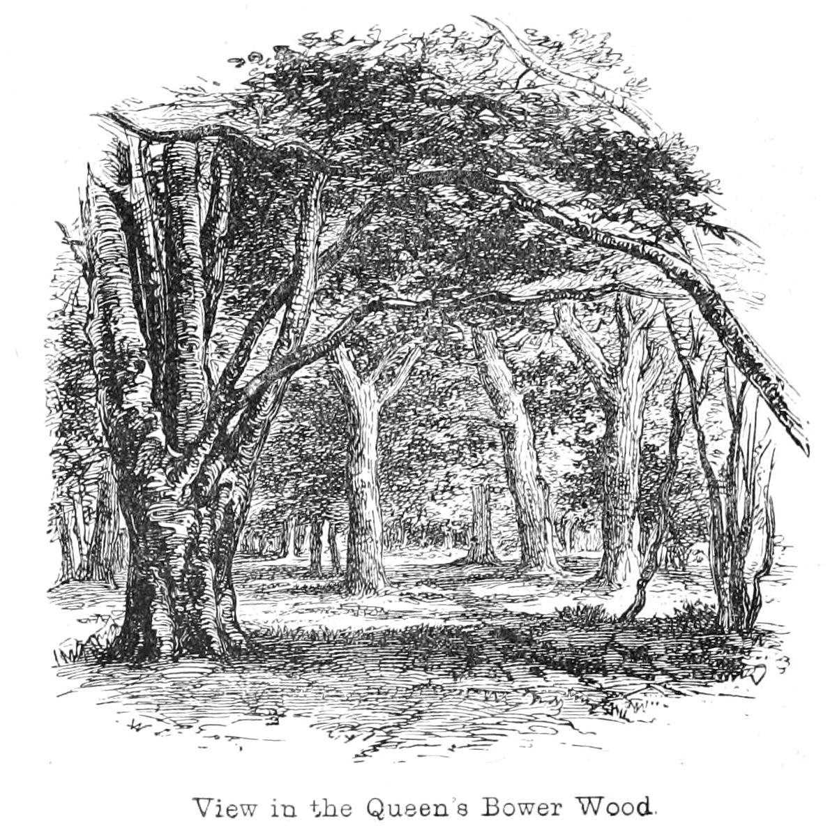 Ver no Queens Bower Wood de Walter Crane