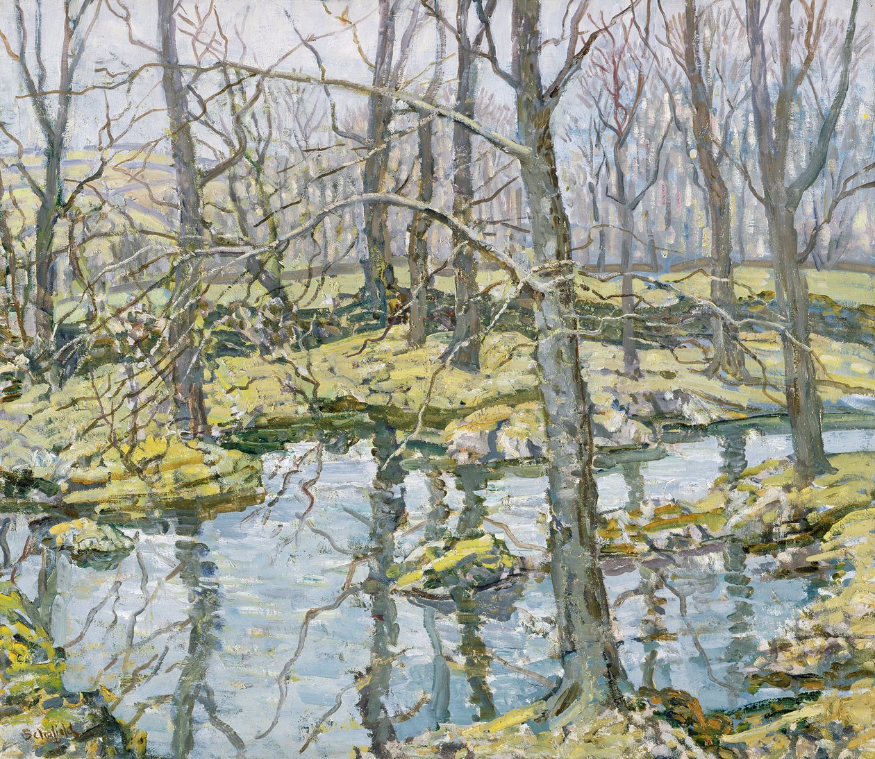 novembro de Walter Elmer Schofield