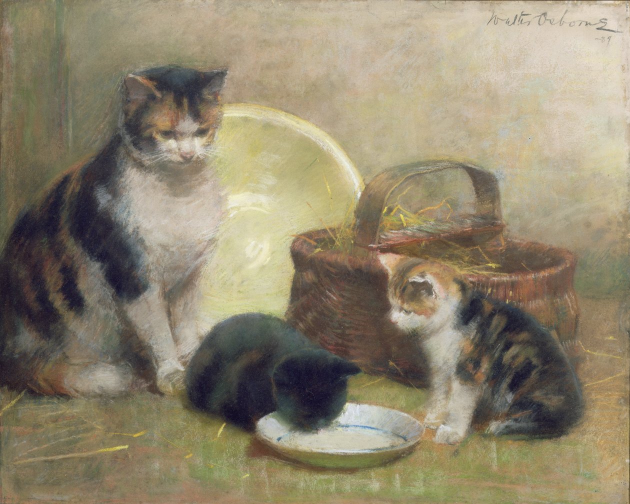 Gato e gatinhos, 1889 (pastel) de Walter Frederick Osborne