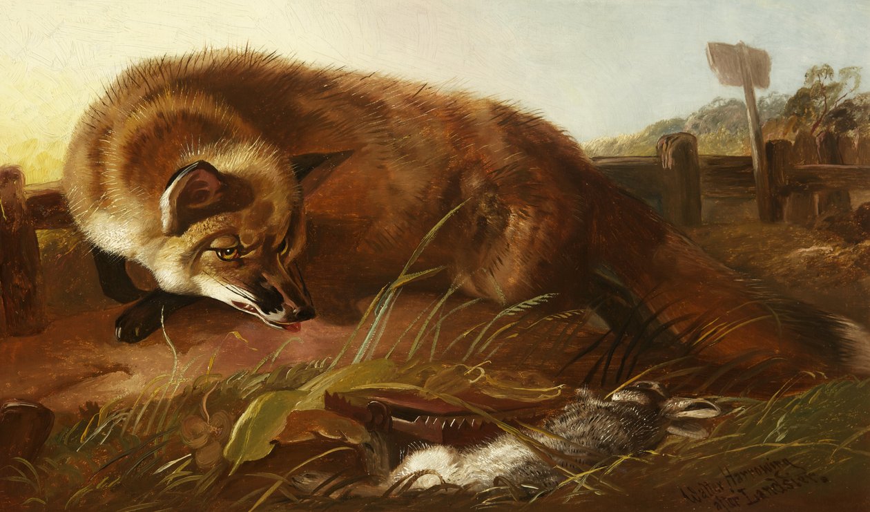 Fox, c.1880 de Walter Harrowing