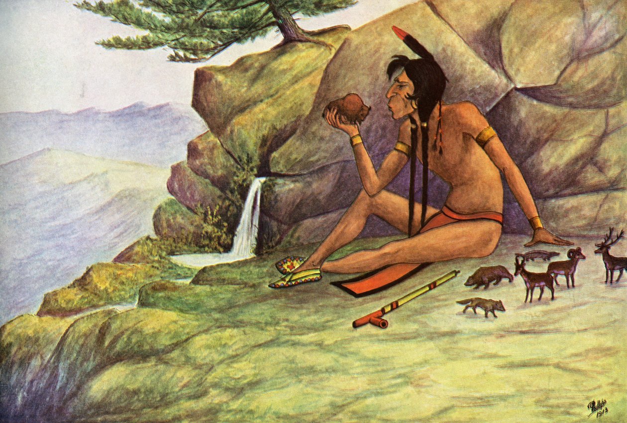 Contos indianos para pequenos povos de Walter Shelley Phillips
