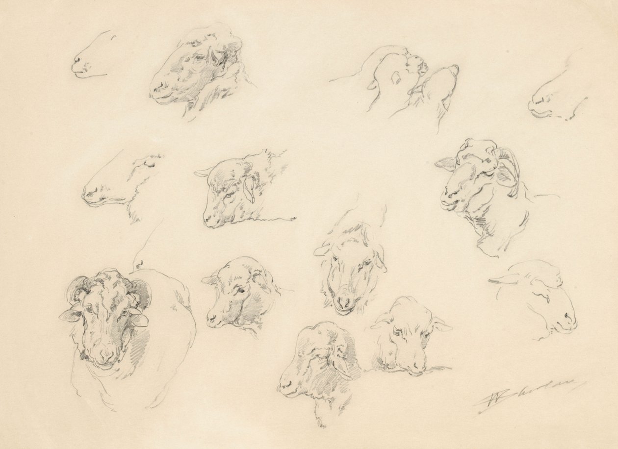 Estudo de cabeças de ovelhas, 1877 (grafite em papel de capa de linho) de Walter Shirlaw