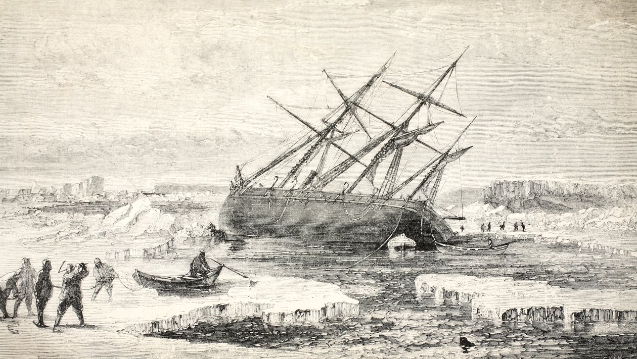 A raposa em uma rocha perto da ilha de Buchan, 1859 de Walter William May