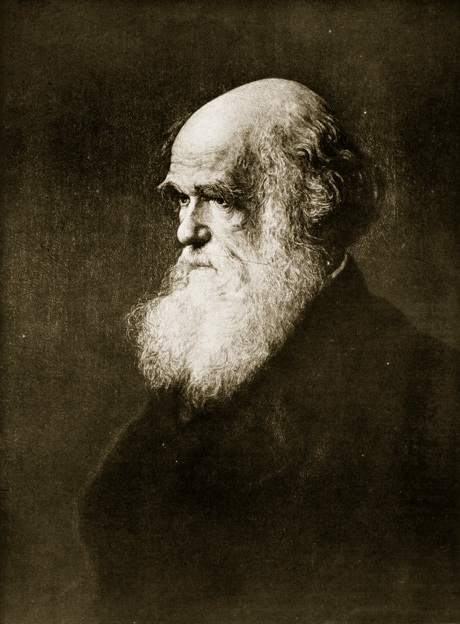 Charles Darwin, impresso após a pintura de WW Ouless, ilustração de "A História da Nação" de Walter William Ouless