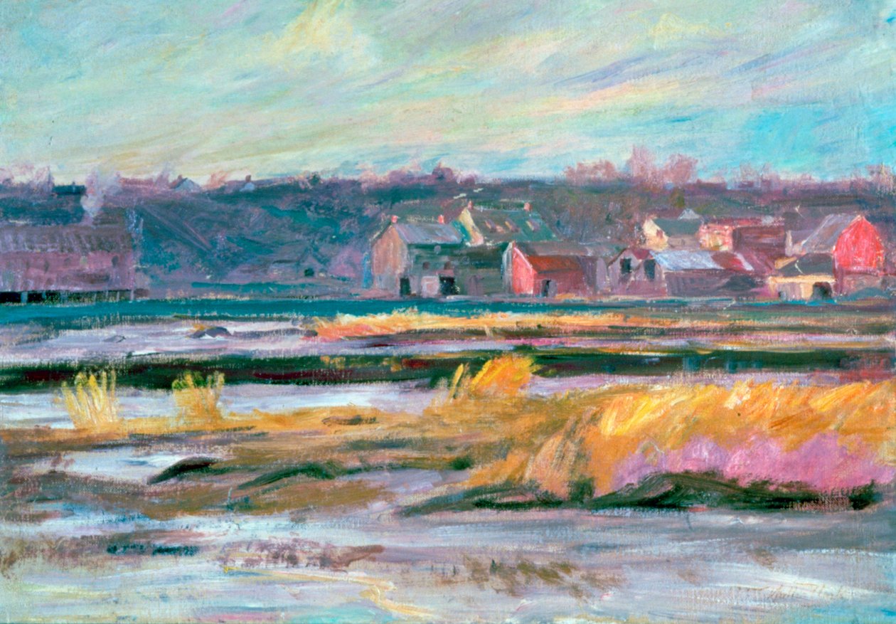 Connecticut Marshes