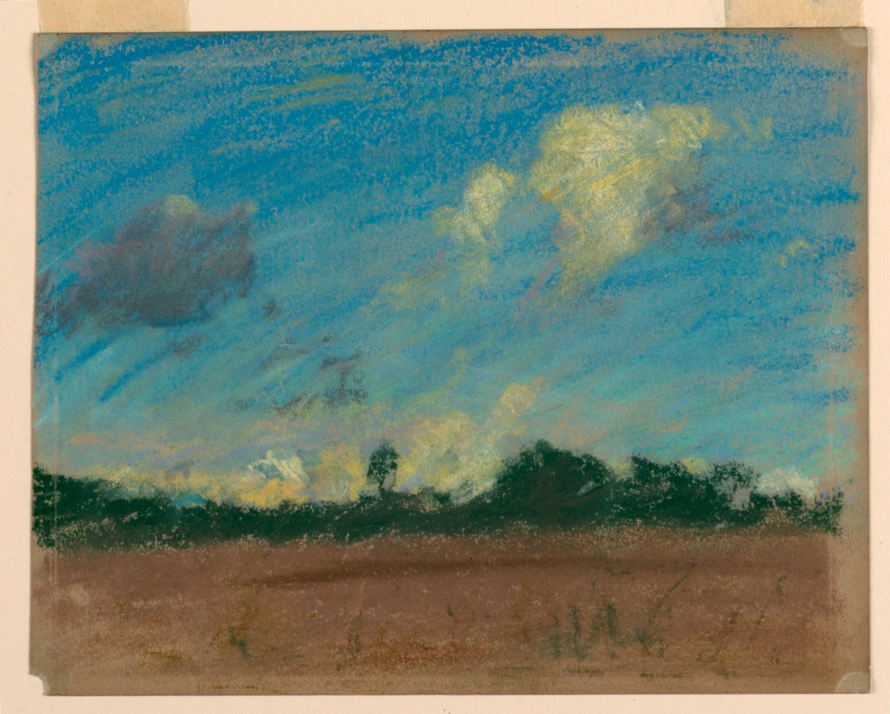 Paisagem de Walter Clark
