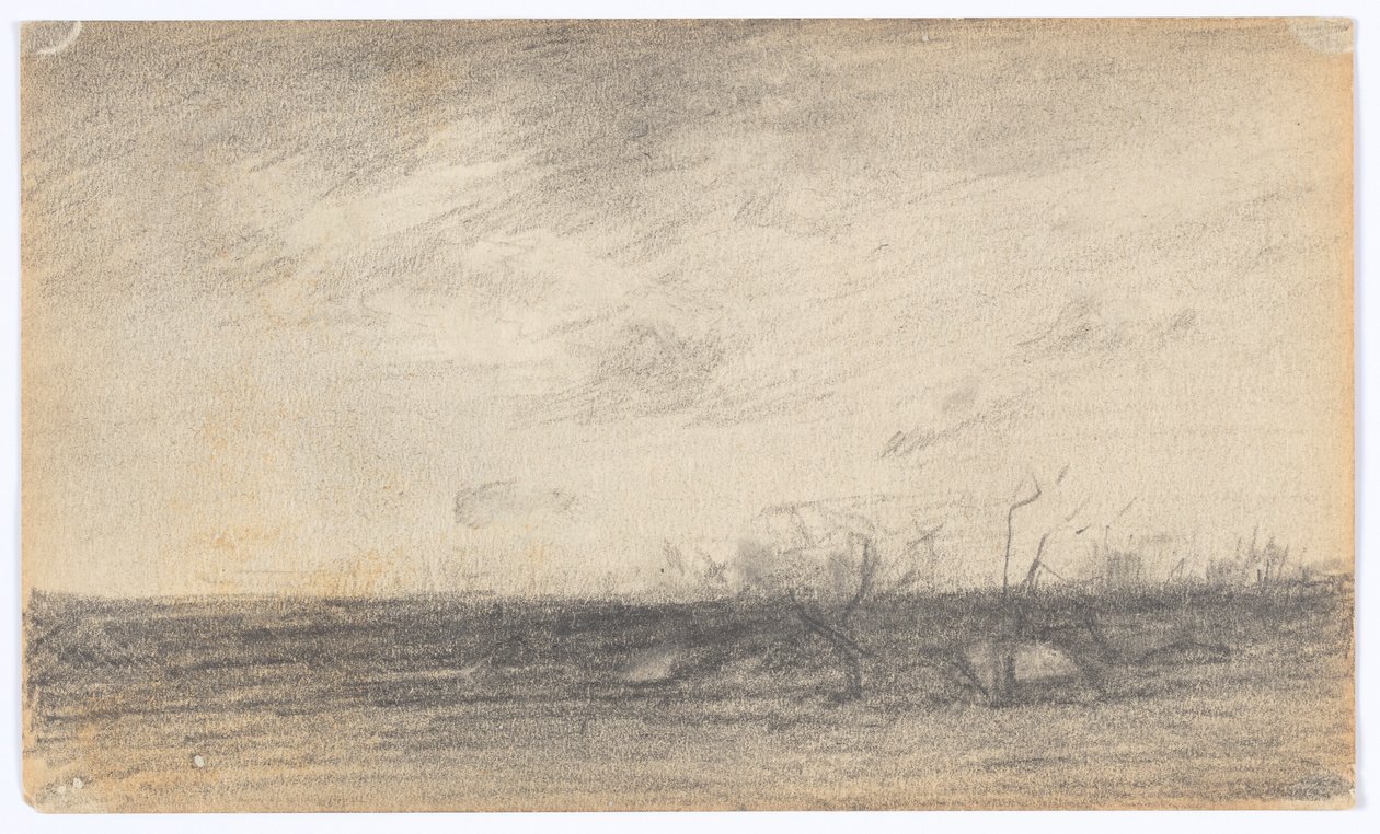 Paisagem de Walter Clark