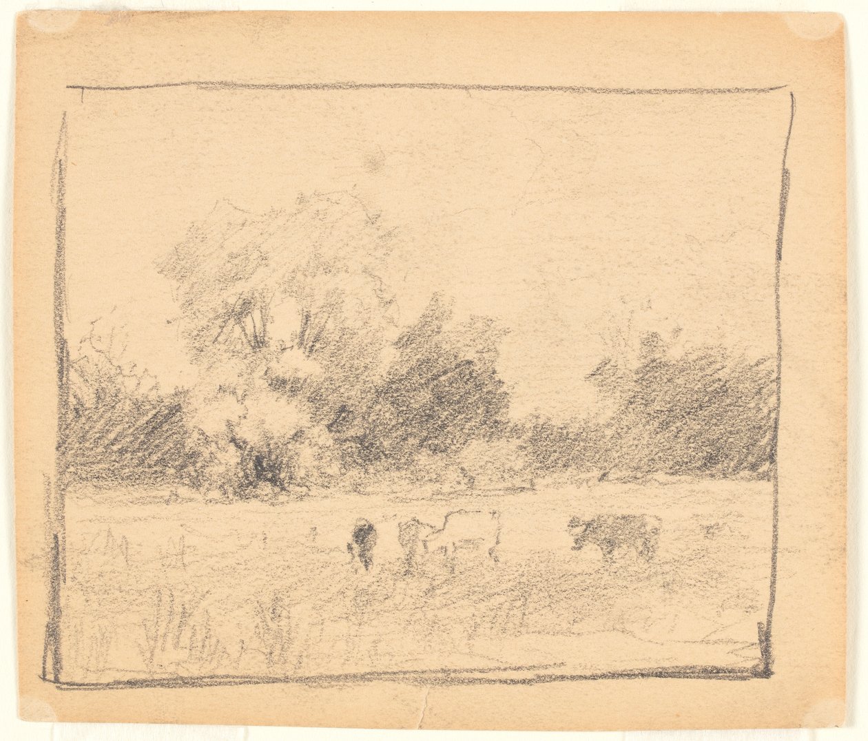 Paisagem de Walter Clark