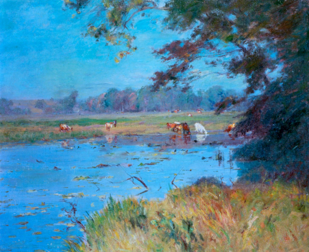 The Watering Pond