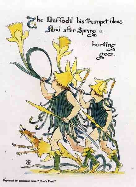 Daffodil Trumpet Blows, da Flora