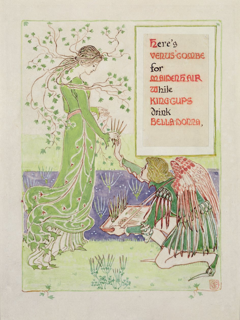 Aqui está Venus &39;Combe para Maidenhair, 1899 (lápis e wc no papel) de Walter Crane