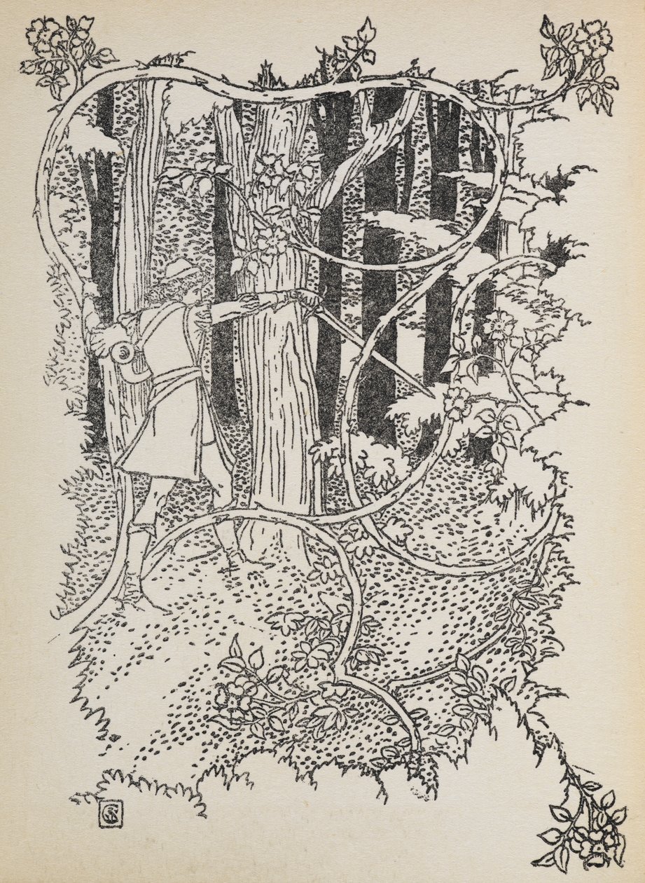 O Príncipe Encantado corta o seu caminho através da floresta sobrecoberta até à Bela Adormecida. de Walter Crane