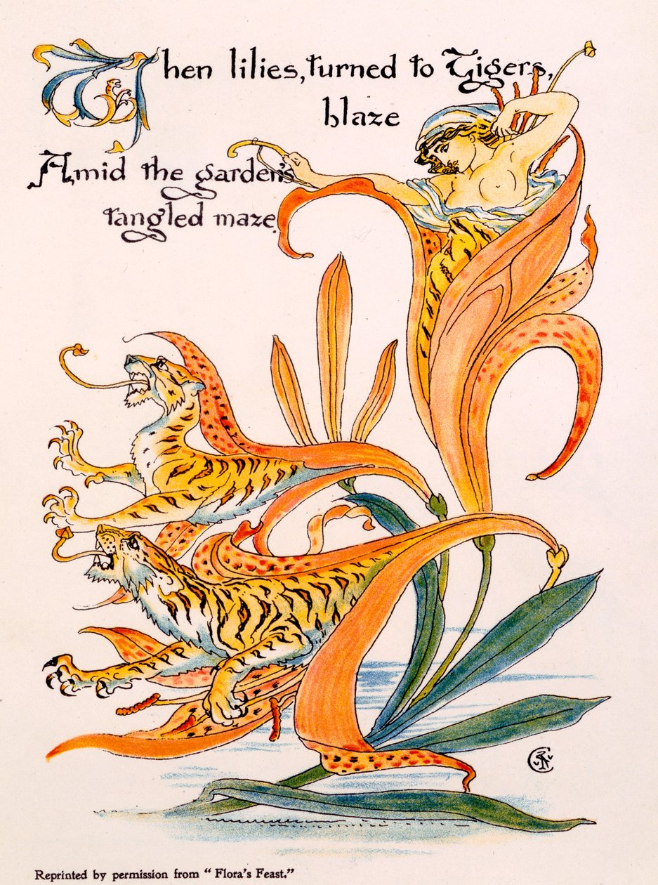 Tiger Lilies, ilustração de &39;Flora&39;s Feast&39;, de Walter Crane, publicado pela primeira vez em 1889 de Walter Crane