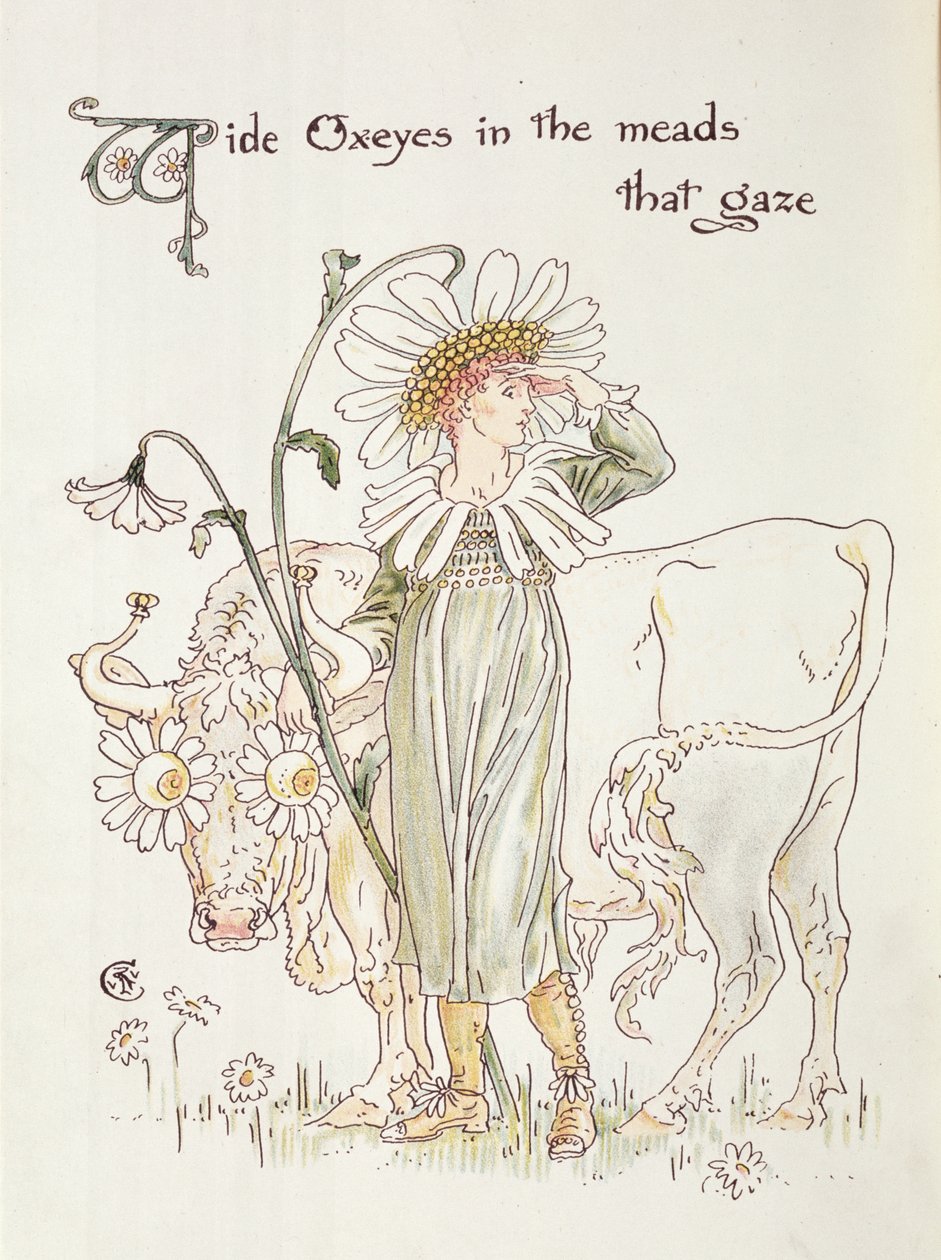 &39;Oxeyes selvagens em Meads que olham&39;, ilustração para &39;Festa de Flora, uma máscara de flores&39; de Walter Crane