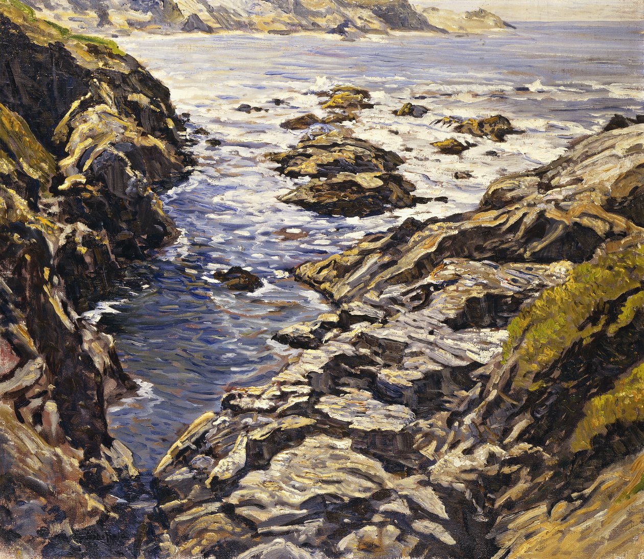Costa rochosa de Walter Elmer Schofield