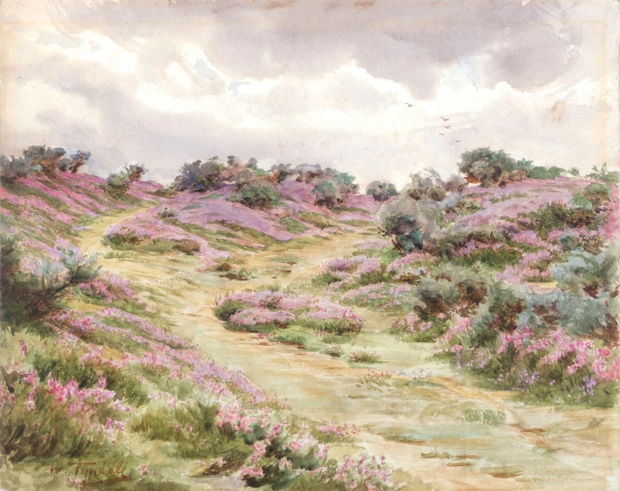 Urze de sino na planície de Setley (aguarela) de Walter Frederick Roofe Tyndale